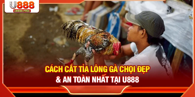 Đá Gà U888 – Sân Chơi Trực Tuyến Cho Tín Đồ Đam Mê
