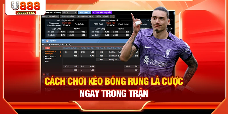 Cách Chơi Kèo Bóng Rung Thắng Lớn Với 3 Tip Đơn Giản