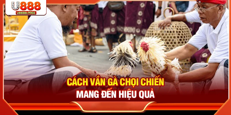 Cách Vần Gà Chọi Chiến Chuẩn Nhất Đến Từ Chuyên Gia U888