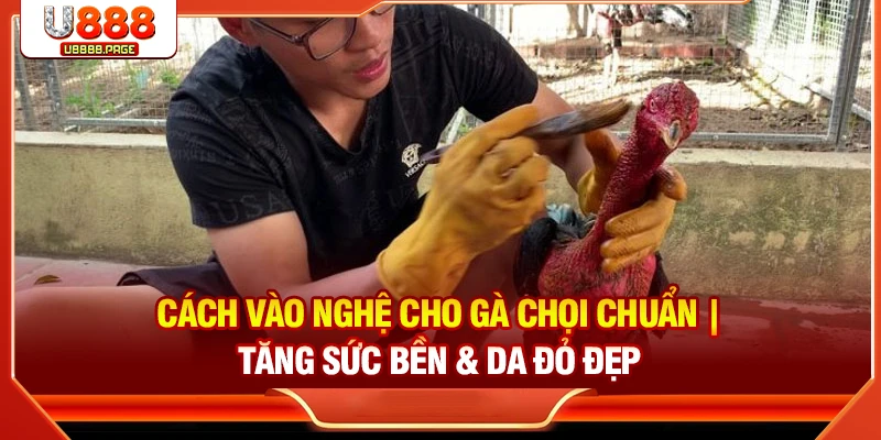 Đá Gà U888 – Sân Chơi Trực Tuyến Cho Tín Đồ Đam Mê