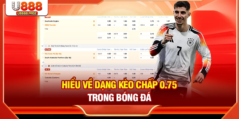 Kèo Chấp 0.75 - Cách Đọc Và Tips Vào Tiền Dành Cho Newbie