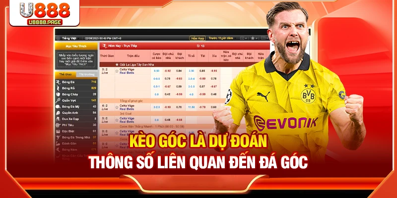 Phạt Kèo Góc - 4 Kinh Nghiệm Nên Biết Khi Đặt Cược