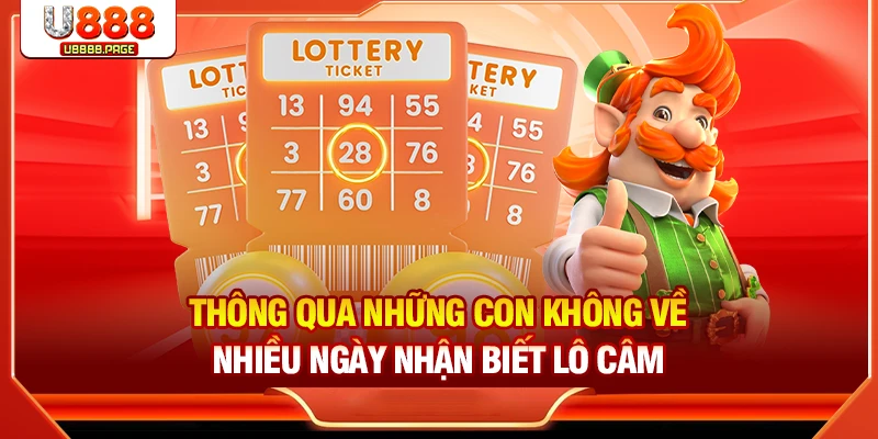 Lô Câm Là Gì Và Tổng Quan Phương Pháp Chơi Hiệu Quả