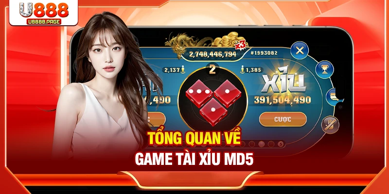 Trải Nghiệm Tài Xỉu MD5 Với Cơ Hội Nhận Thưởng Lớn Tại U888