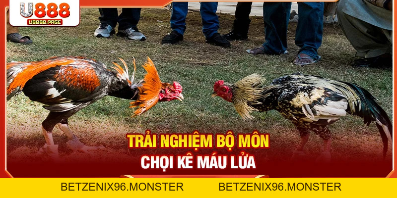 U888 - Trang Chủ Cá Cược U888.COM Hoàn Hảo Số 1 Thị Trường